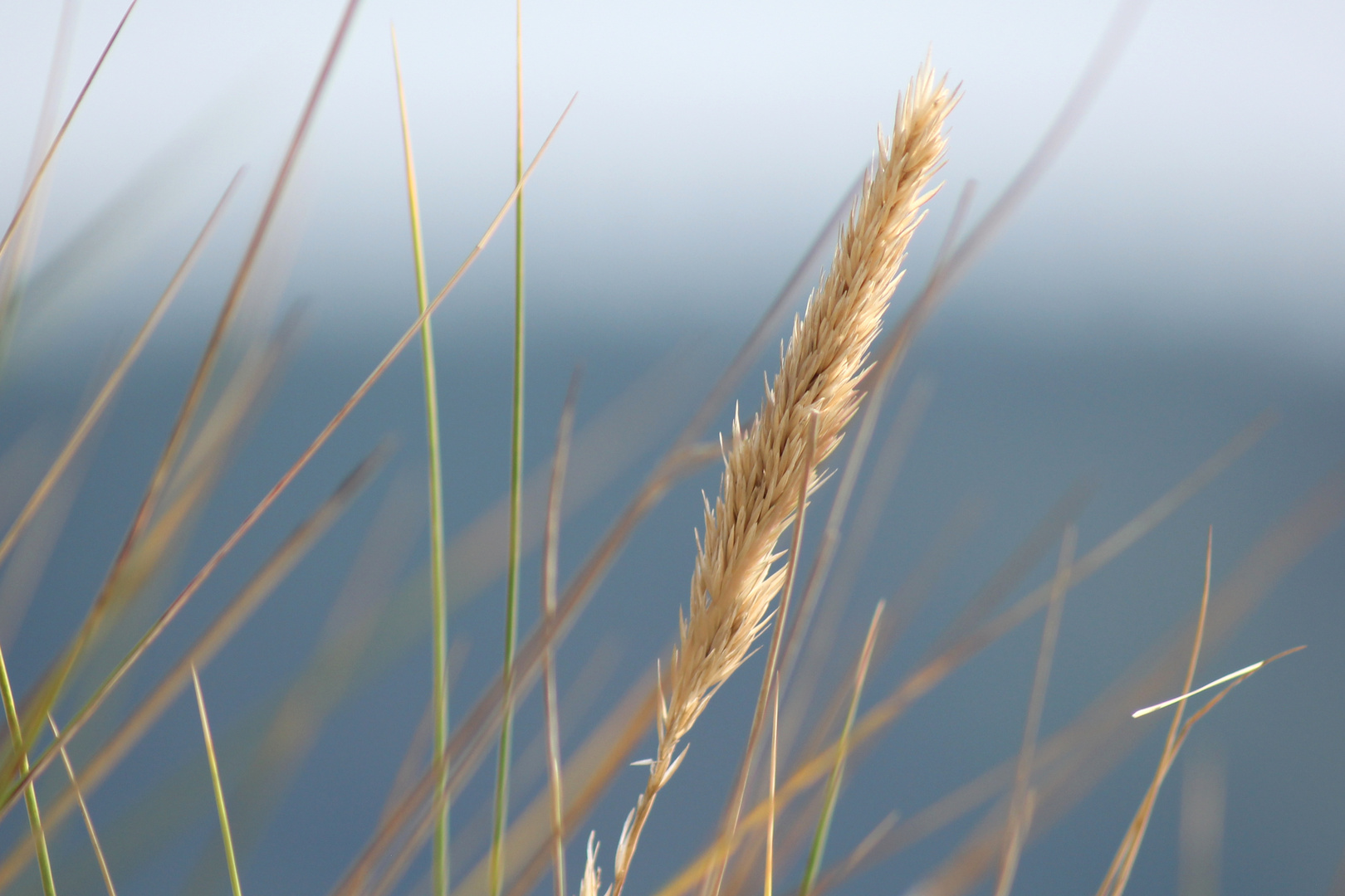 Blick auf das Meer bei Kiel