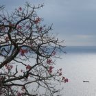 Blick auf das Meer bei Positano