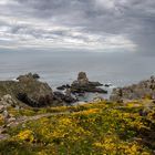 Blick auf das Meer.      Bretagne 10