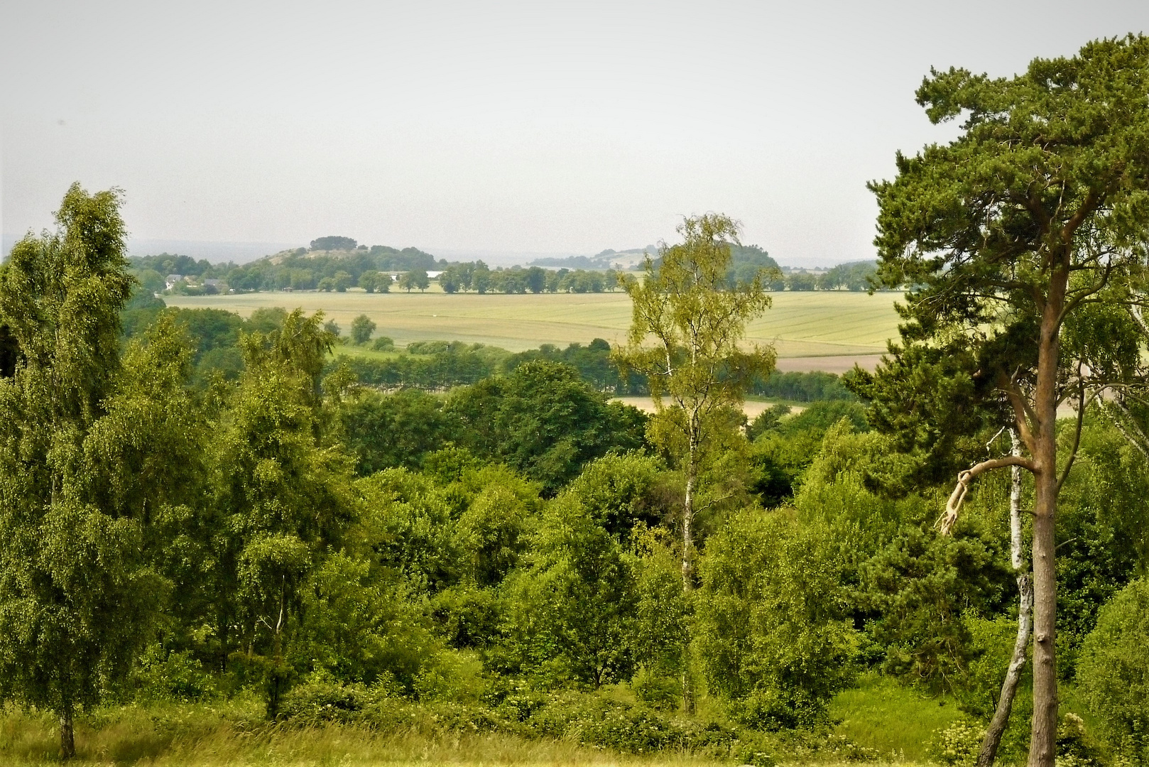 Blick auf das Mönchgut