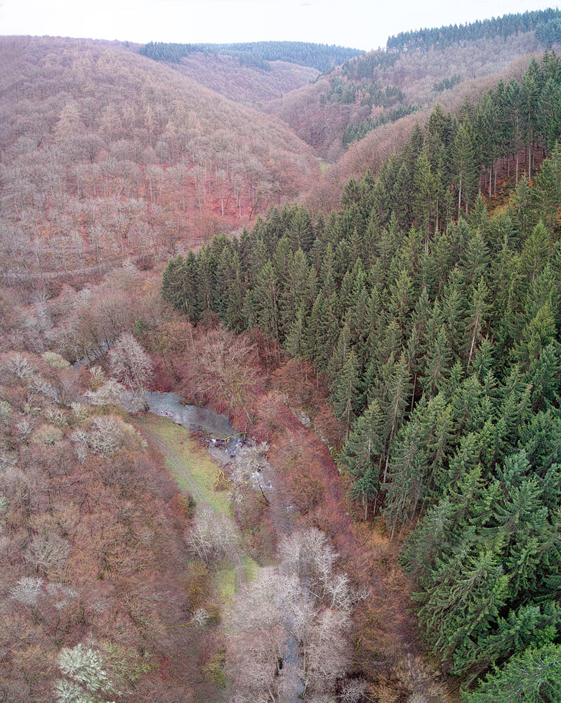 Blick auf das Mörsdorfer Bachtal