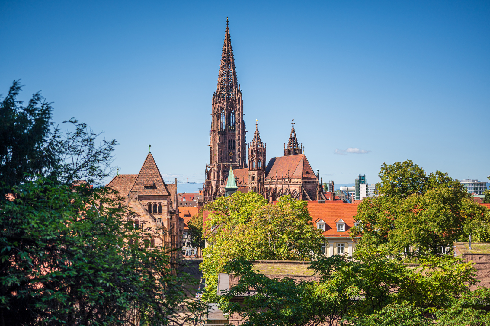 Blick auf das Münster Freiburg