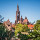 Blick auf das Münster Freiburg
