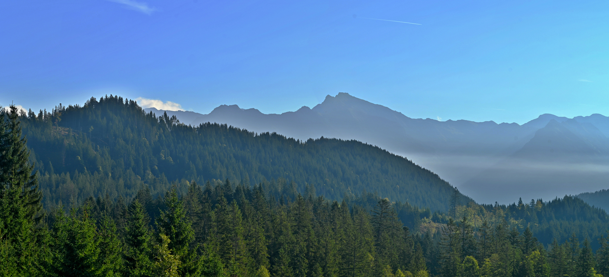 Blick auf das Nebelhorn