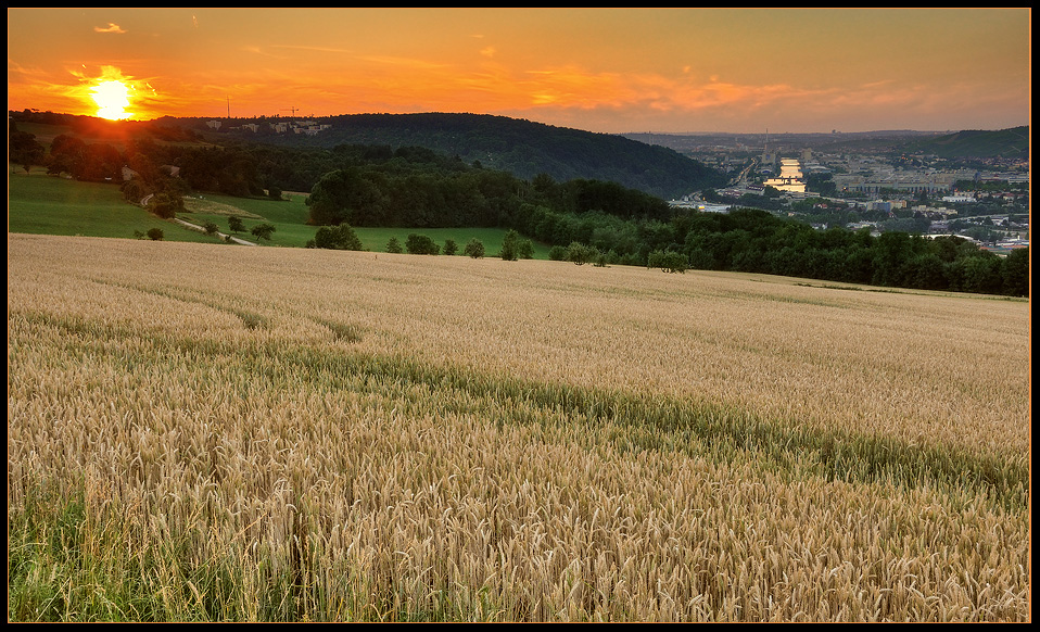 Blick auf das Neckartal