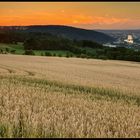 Blick auf das Neckartal