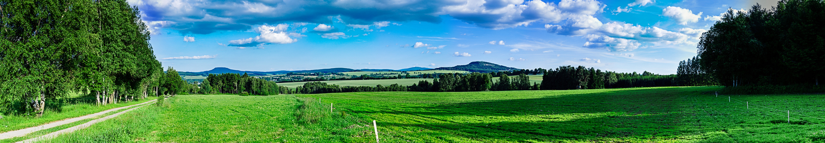 Blick auf das obere Erzgebirge