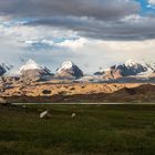 Blick auf das Pamirgebirge