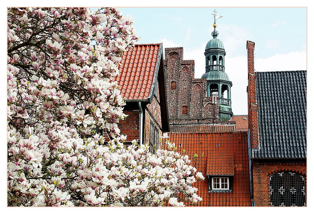 Blick auf das Rathaus