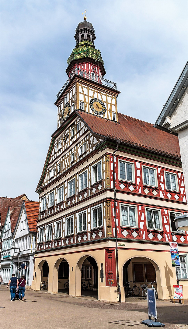 Blick auf das Rathaus von