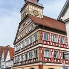 Blick auf das Rathaus von