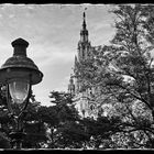 Blick auf das Rathaus Wien