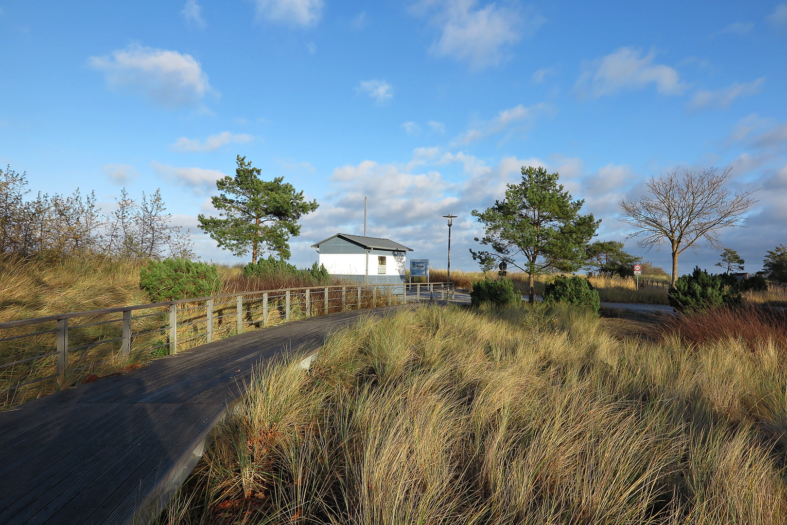 Blick auf das Schilfgras beim Spaziergang im Dezember in Niendorf/Ostsee