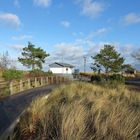 Blick auf das Schilfgras beim Spaziergang im Dezember in Niendorf/Ostsee