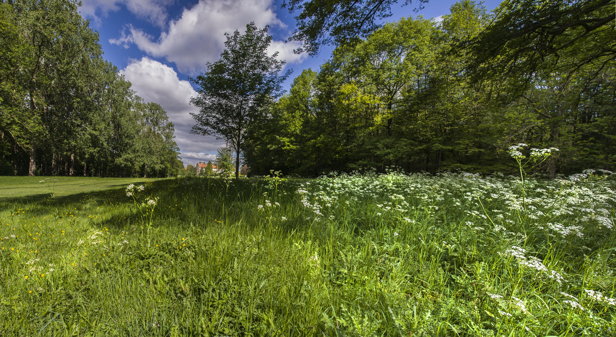 Blick auf das Schloss 2