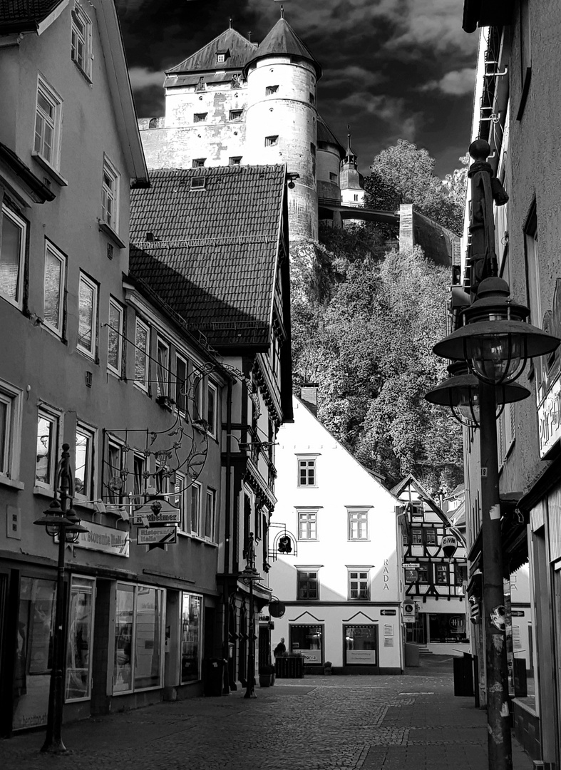 Blick auf das Schloss Hellenstein in Heidenheim