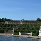 Blick auf das Schloss Sanssouci