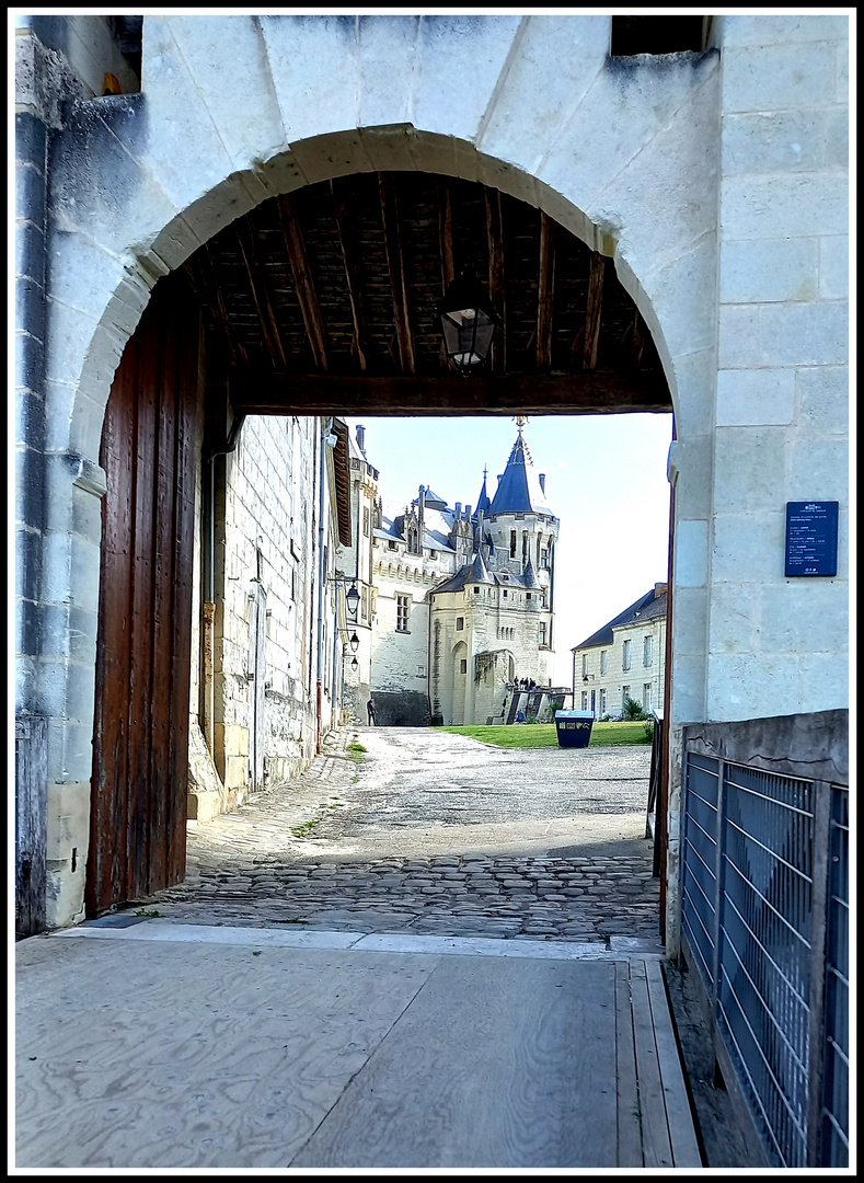 Blick auf das Schloss Saumur an der Loire