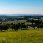 Blick auf das Siebengebirge