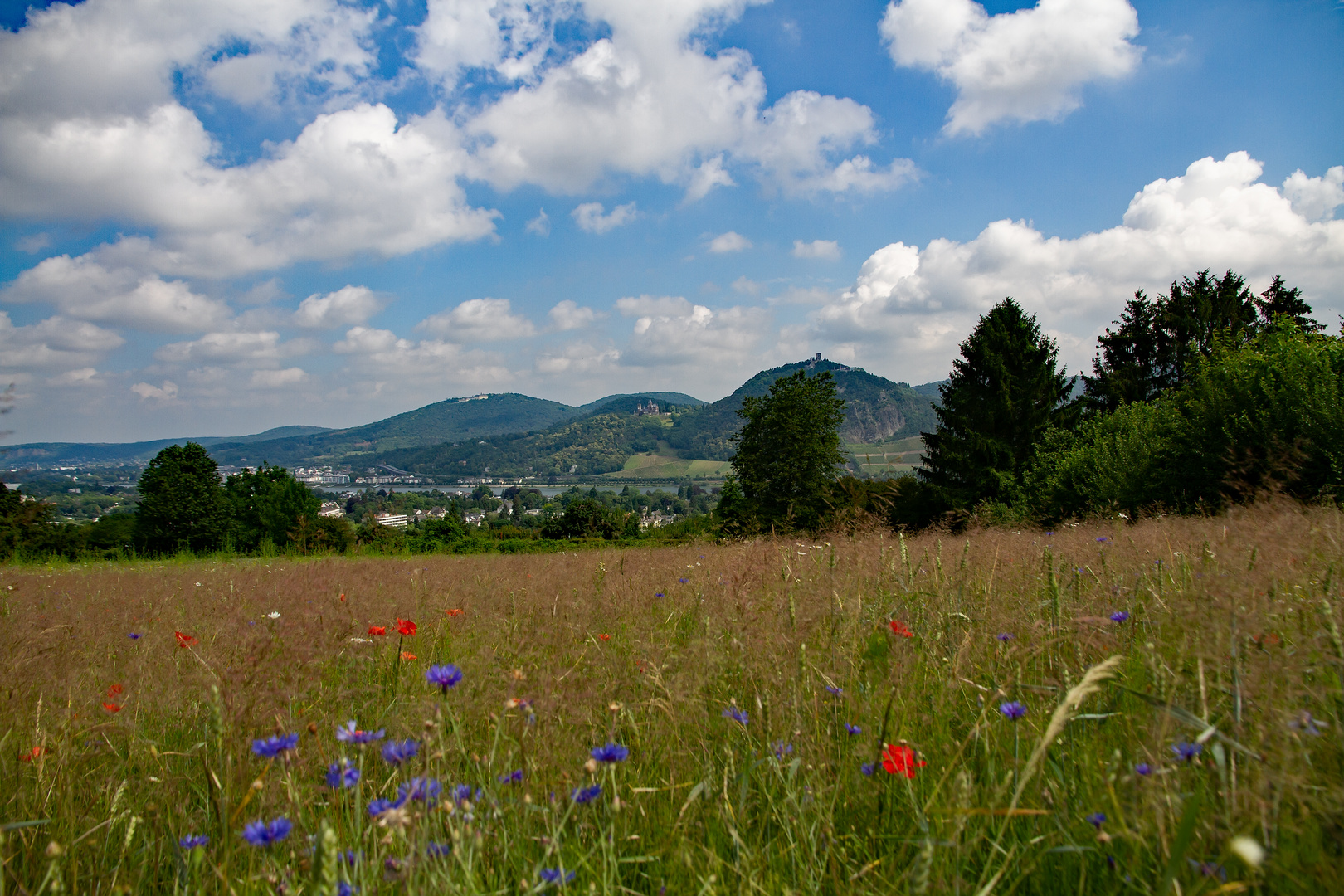 Blick auf das Siebengebirge