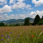 Blick auf das Siebengebirge