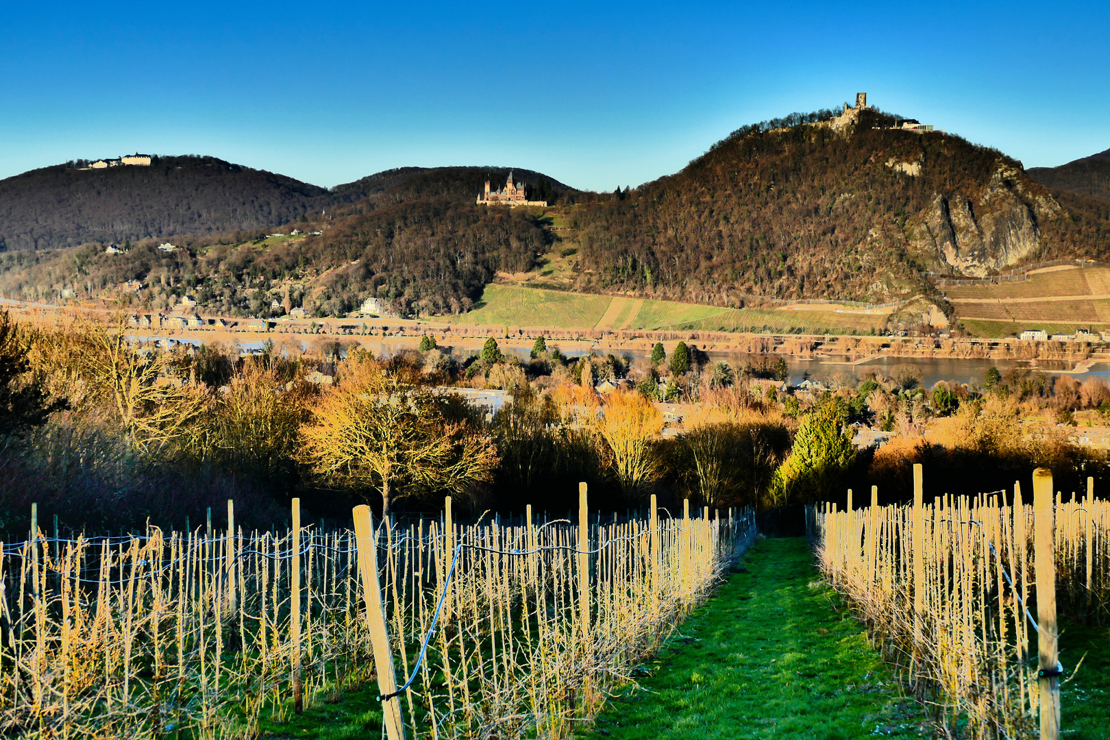 Blick auf das Siebengebirge