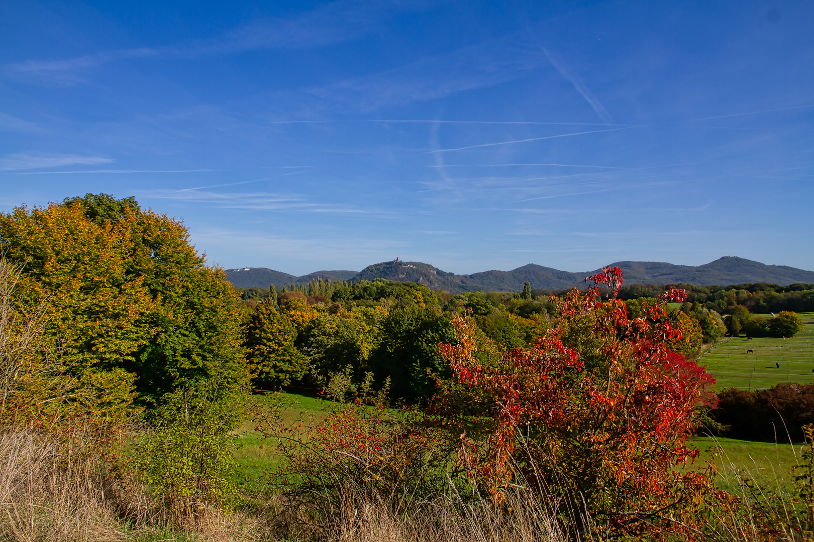 Blick auf das Siebengebirge