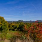 Blick auf das Siebengebirge