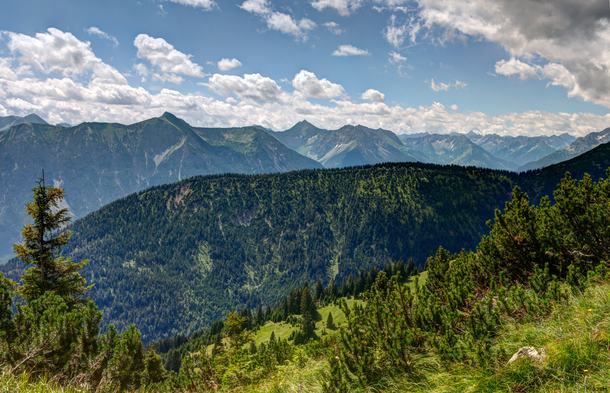 ~ Blick auf das Tannheimer Tal ~