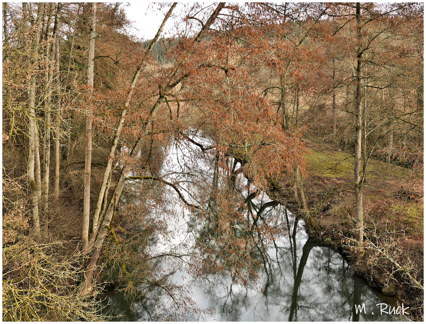 Blick auf das Tauberflüsschen  ,