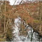 Blick auf das Tauberflüsschen  ,