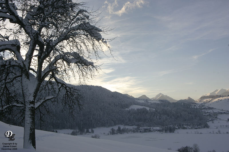 Blick auf das Tierseetal in Österreich