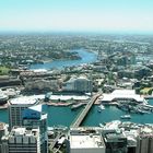 Blick auf das unendliche Sydney