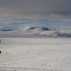 Blick auf das Vindelfjäll