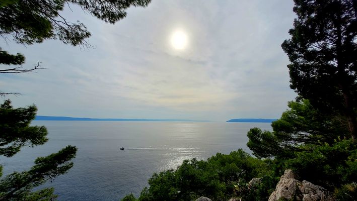  Blick auf das Wasser