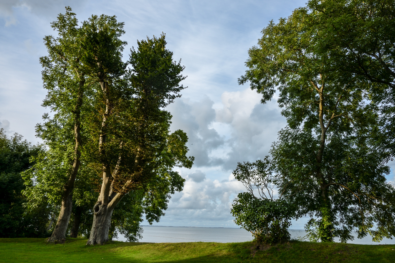 Blick auf das Wattenmeer