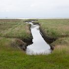 blick auf das wattenmeer