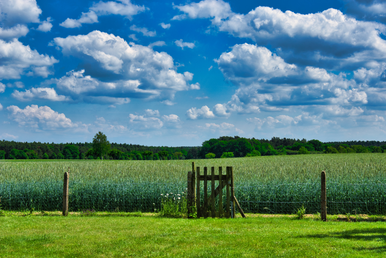 Blick auf das Wendland