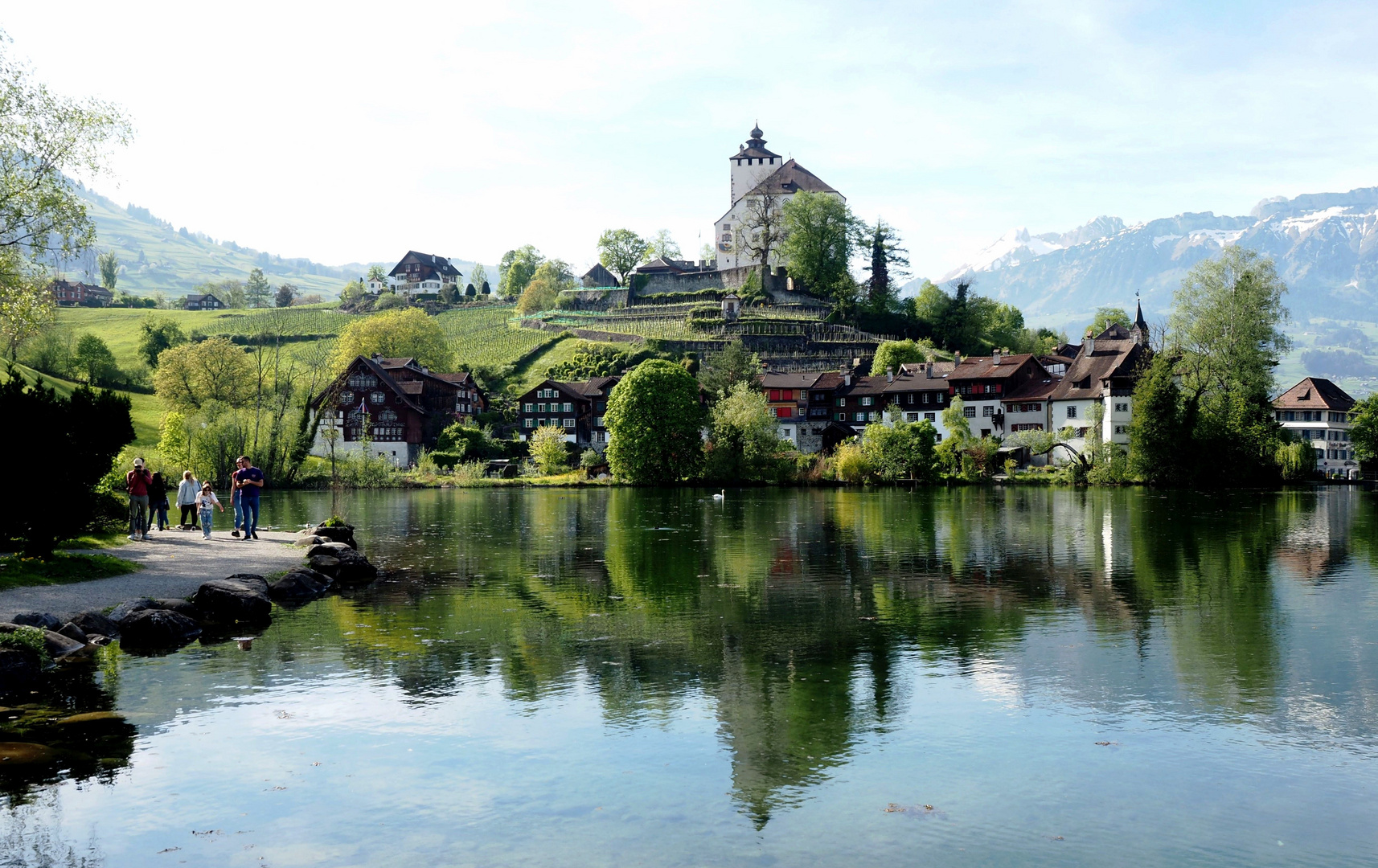 Blick auf das Werdenberger Schloss