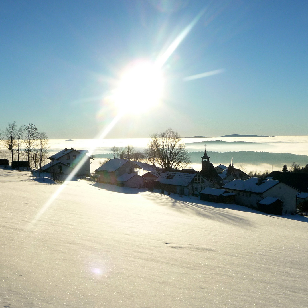 Blick auf das winterliche Waldhäuser