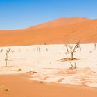 Blick auf Dead Vlei