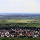 Blick auf Deidesheim