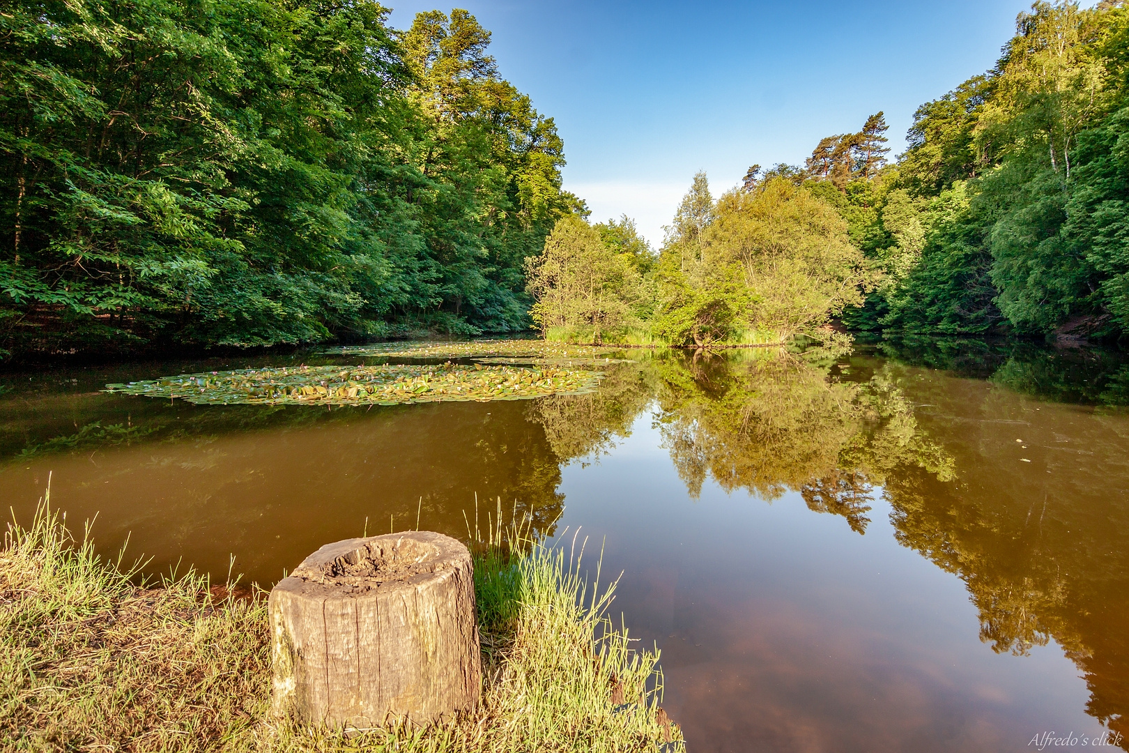 Blick auf dem Kalbsbergweiher in Homburg/Saar*