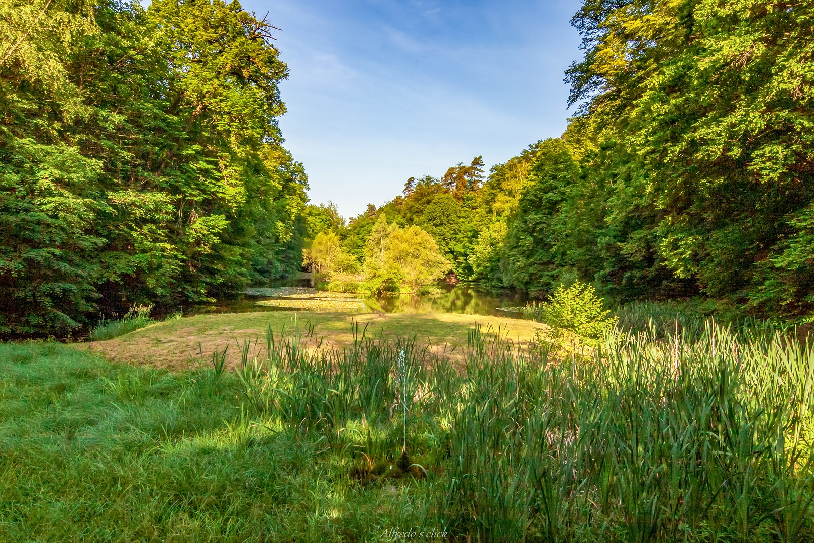 Blick auf dem Kalbsbergweiher in Homburg/Saar*