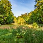 Blick auf dem Kalbsbergweiher in Homburg/Saar*