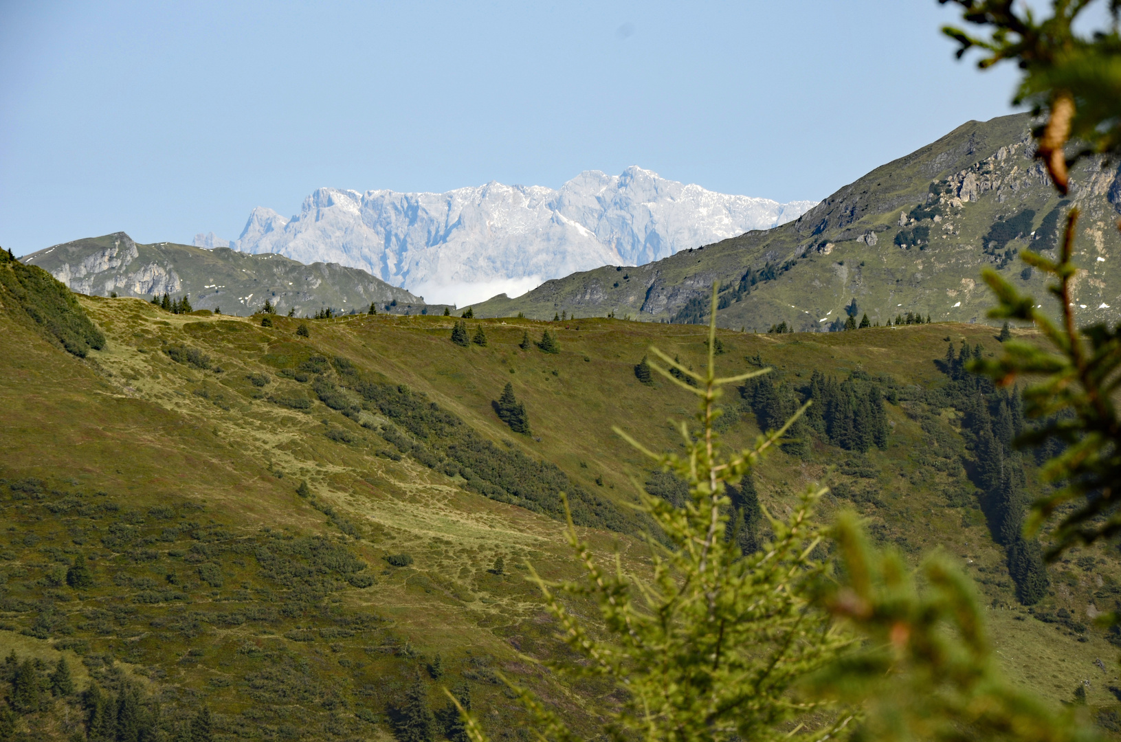 Blick auf dem Weg zum Kreuzkogel (Großarl) auf den Hochkönig