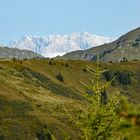 Blick auf dem Weg zum Kreuzkogel (Großarl) auf den Hochkönig