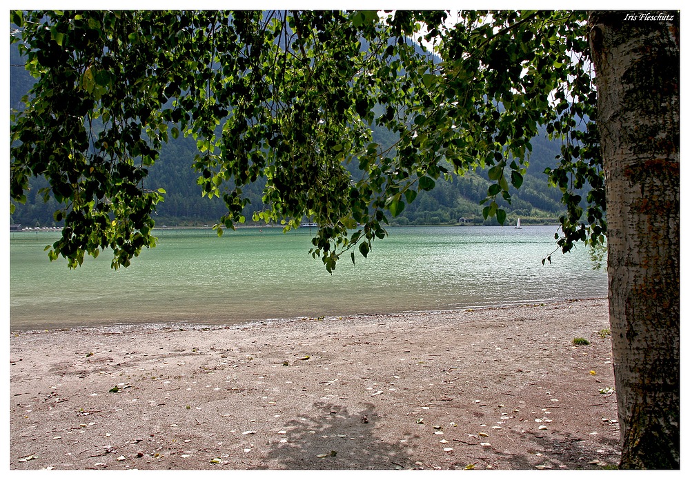 Blick auf den Achensee