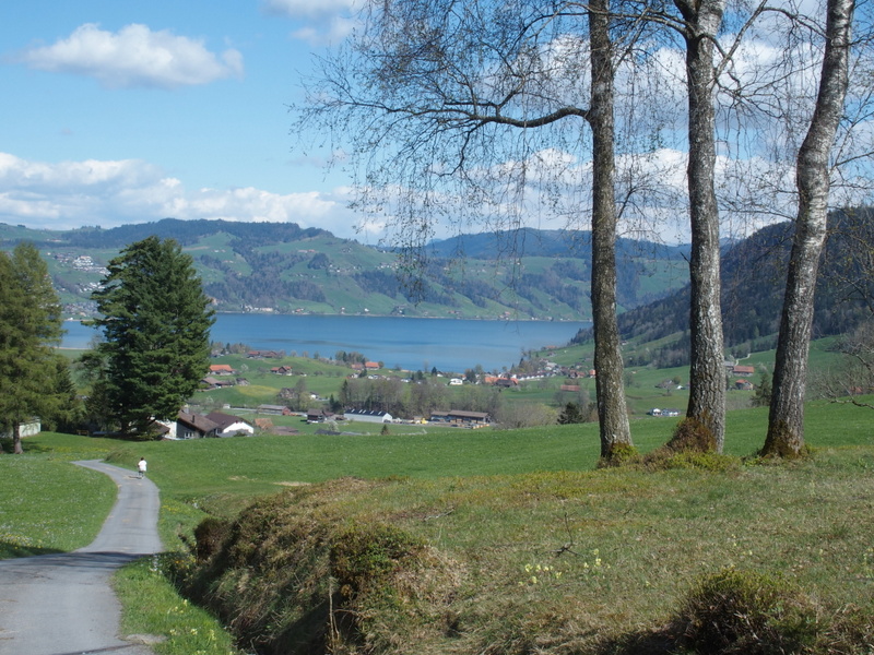 Blick auf den Aegerisee Kanton Zug Schweiz