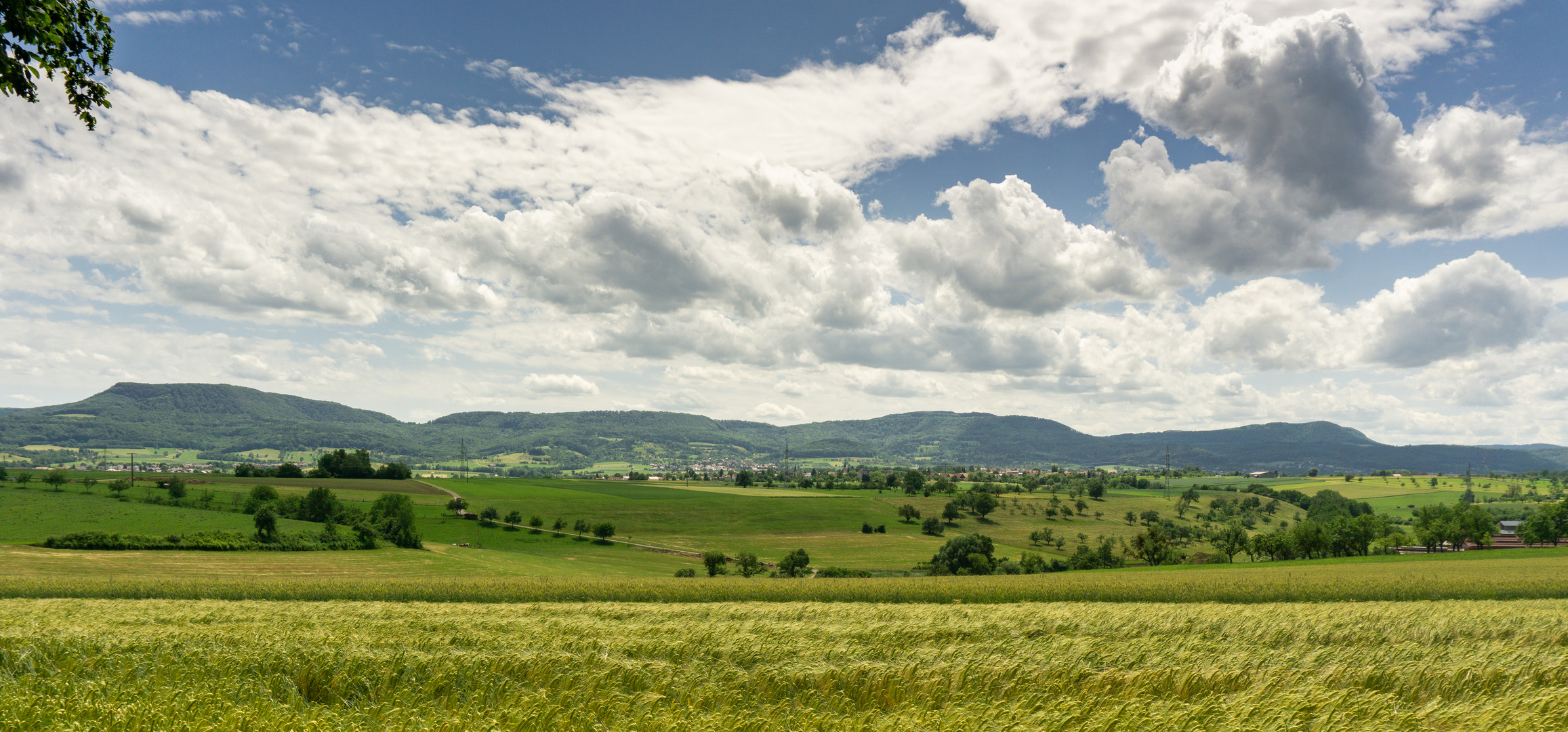 Blick auf den Albtrauf